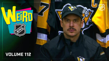 猛龙队的决 猛龙队的决