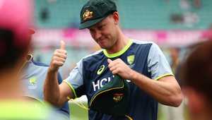 感到无比振 感到无比振